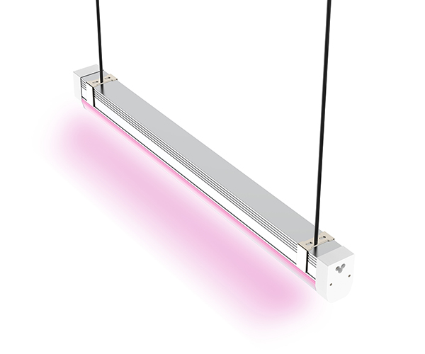 T22 Led Linear Light Series